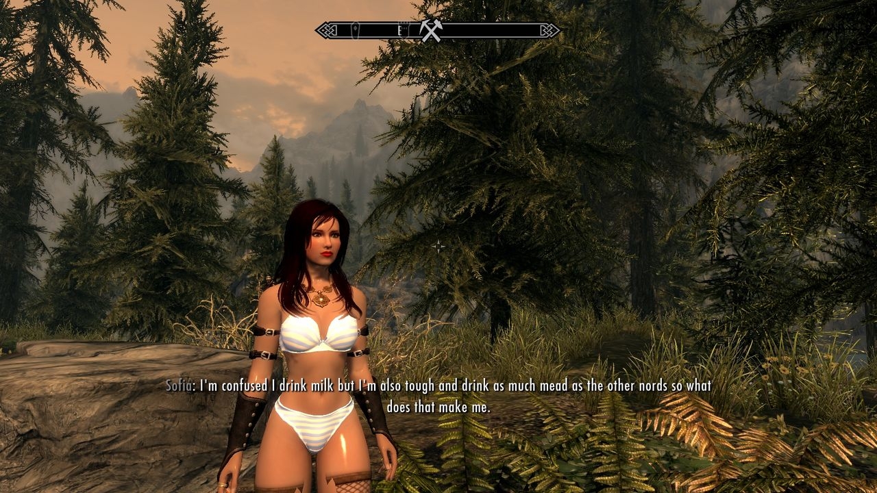 skyrim screenshots 9