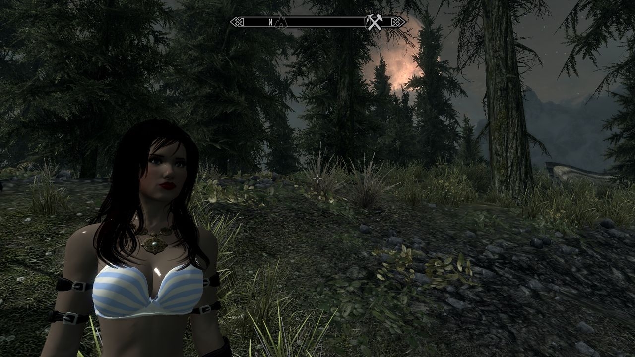 skyrim screenshots 17