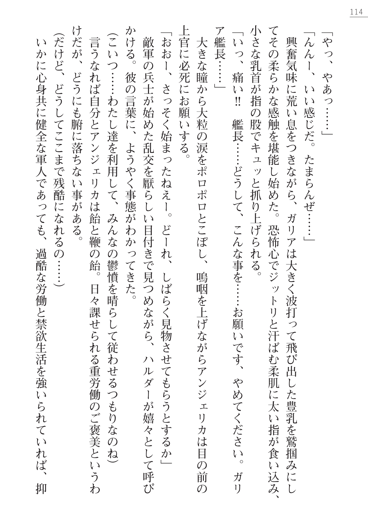 [Yamamoto Saki, Maineko Ruru] Seirei Kanchou Nanaly - Ingoku no Horyo Shuuyoujo 113