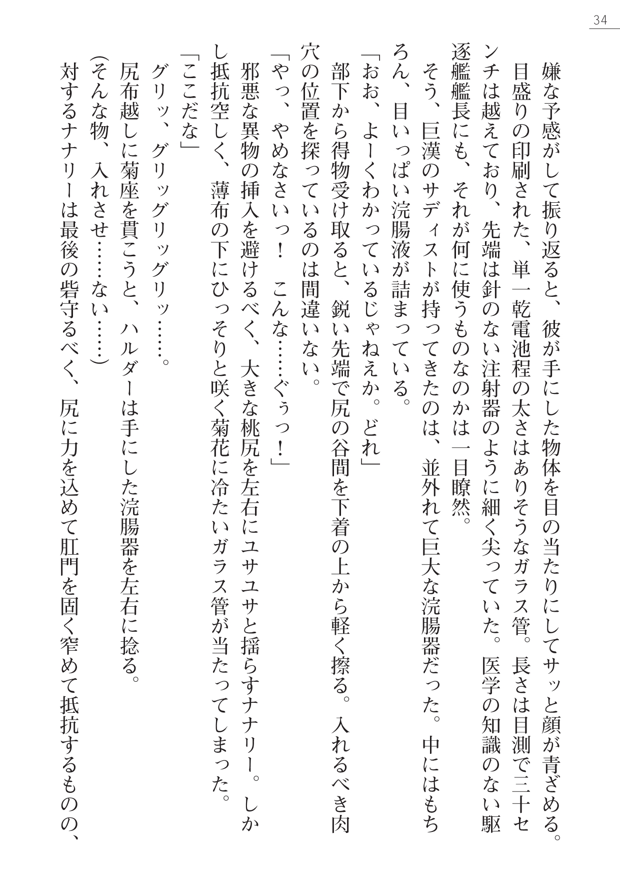 [Yamamoto Saki, Maineko Ruru] Seirei Kanchou Nanaly - Ingoku no Horyo Shuuyoujo 33