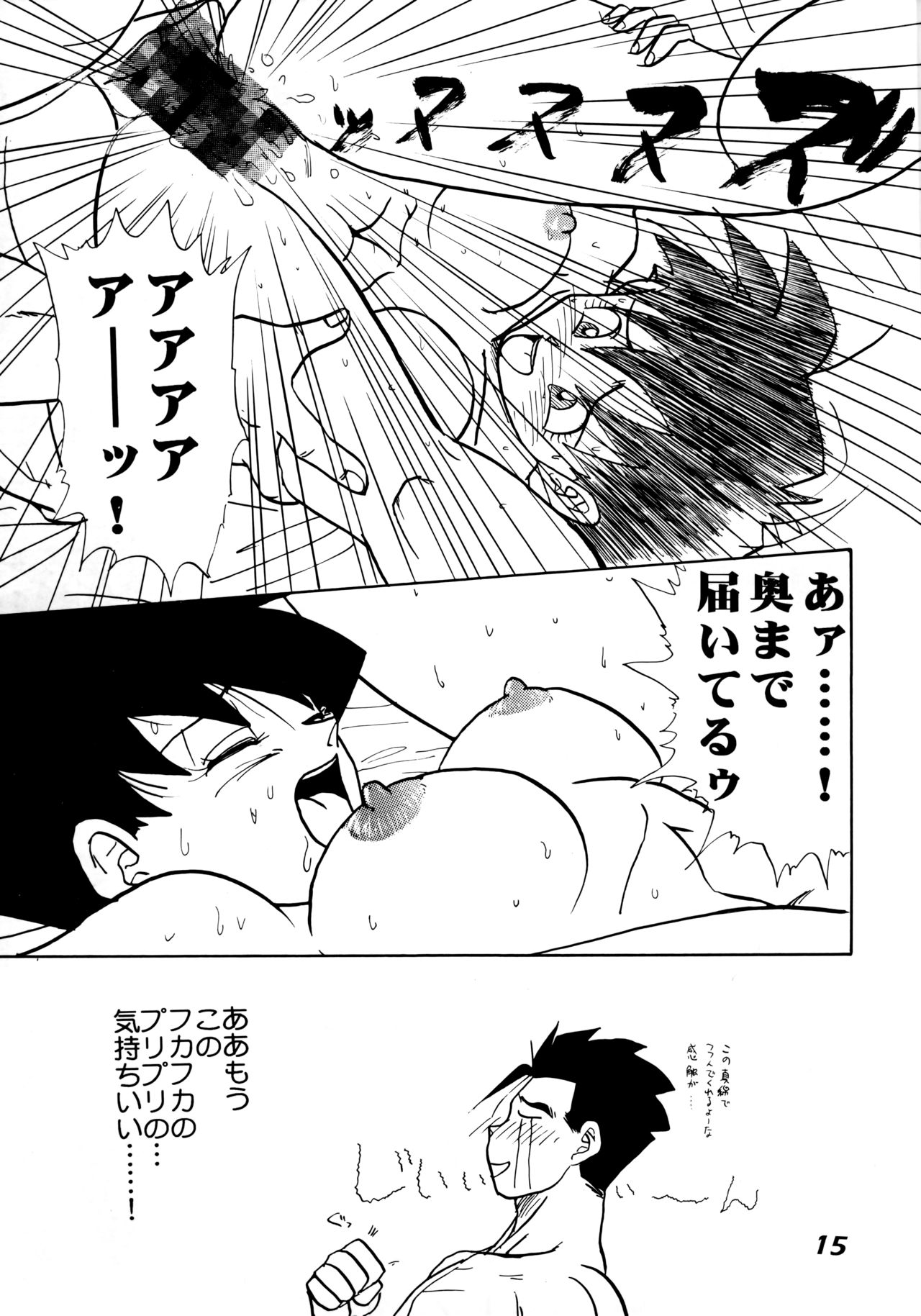 (C52) [Chirigami Goya, Fusuma Goten (Shouji Haruzo)] Irohani (Dragon Ball GT) 14