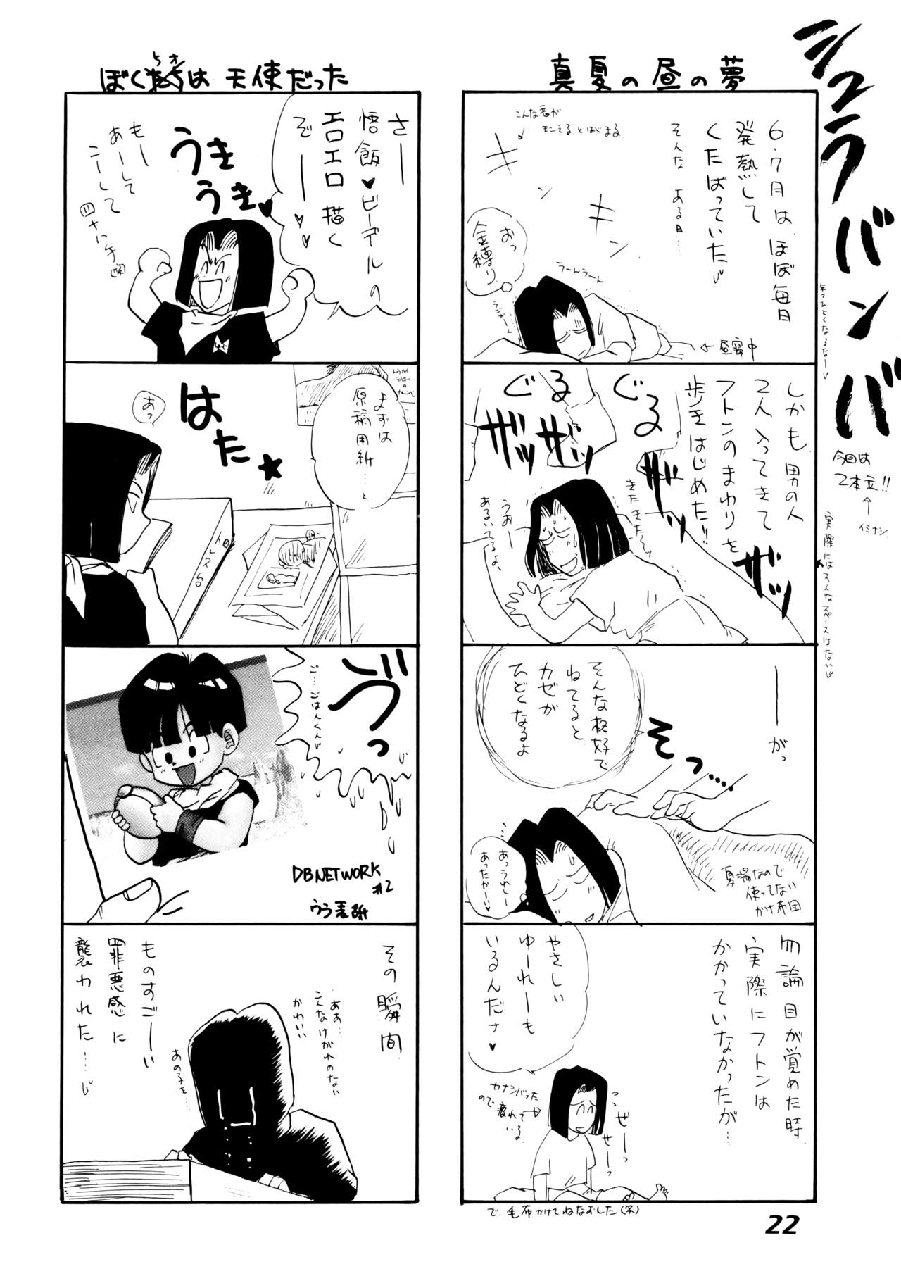 (C52) [Chirigami Goya, Fusuma Goten (Shouji Haruzo)] Irohani (Dragon Ball GT) 21