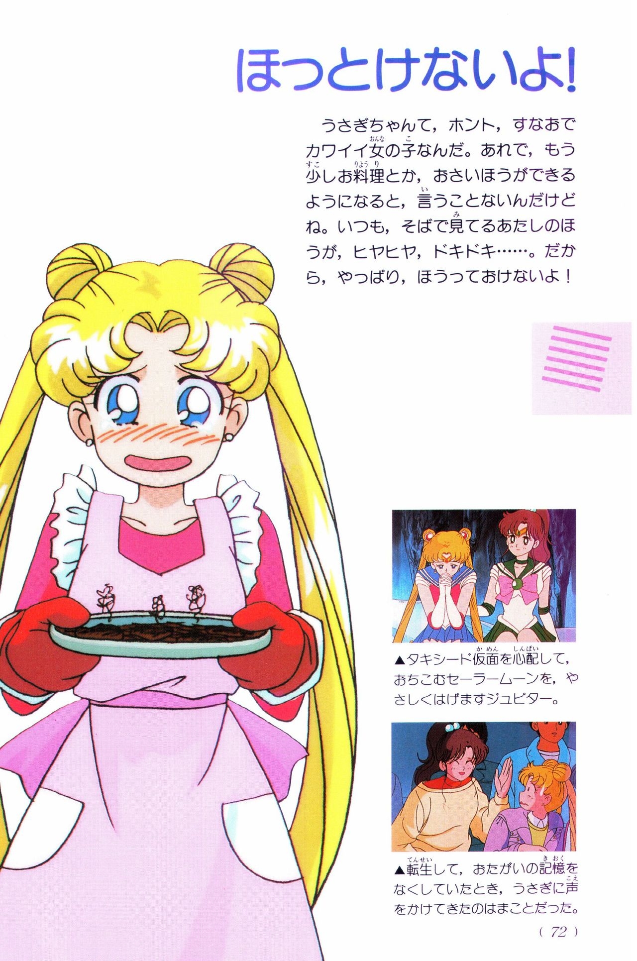 Sailor Moon Official Fan Book – Sailor Jupiter 55