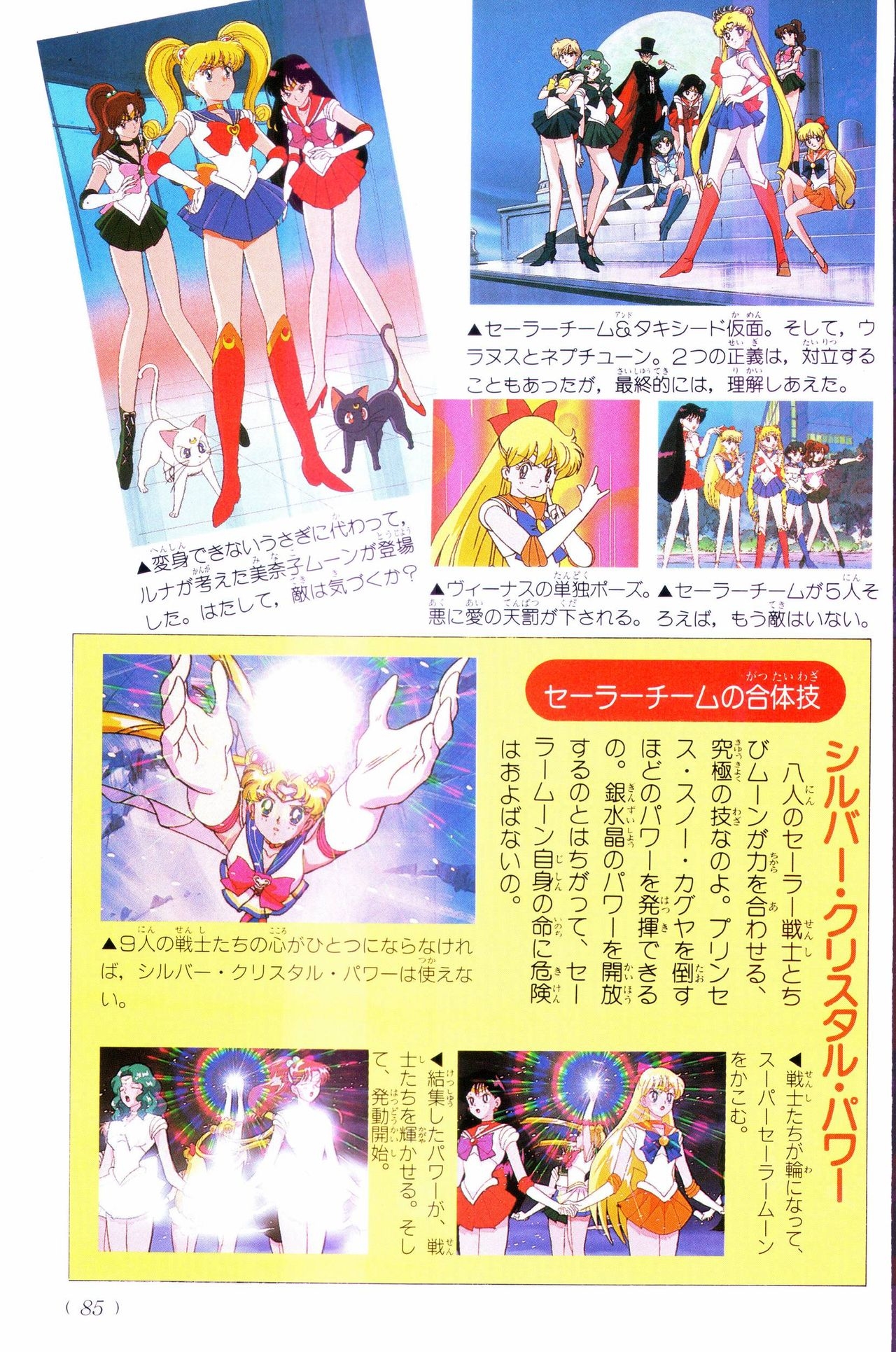 Sailor Moon Official Fan Book - Sailor Venus 9