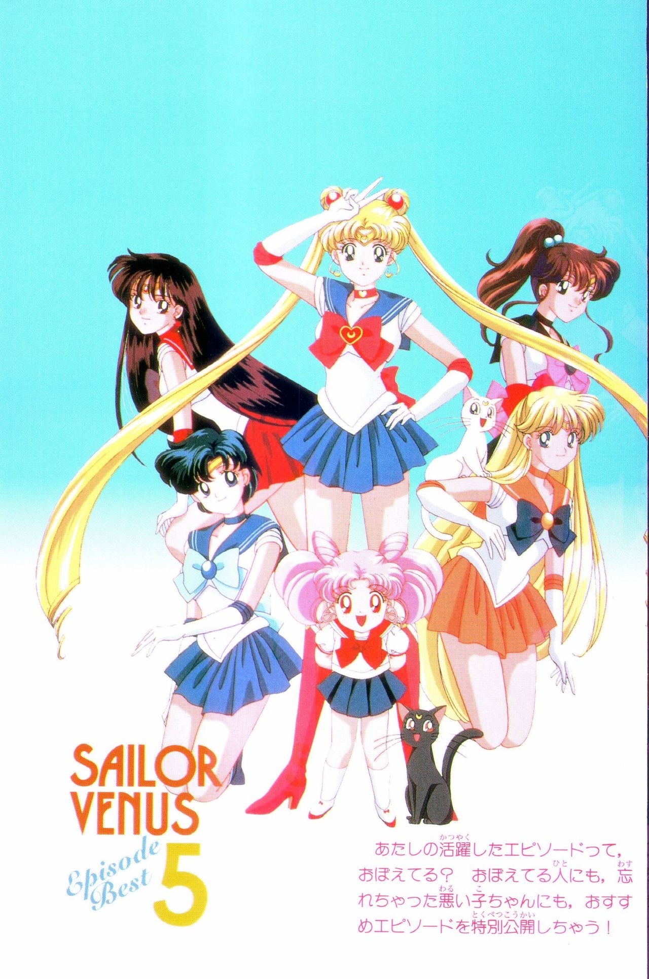 Sailor Moon Official Fan Book - Sailor Venus 63