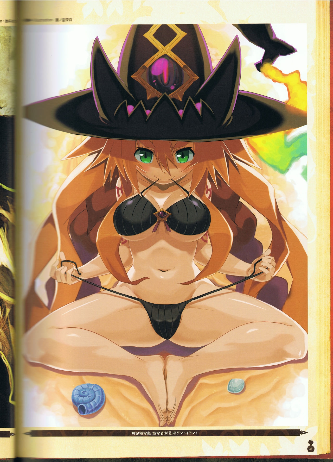 The Witch and the Hundred Knight Official Art Book 29