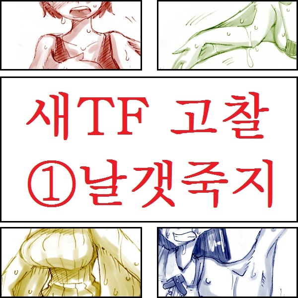 [Koganemushi] Tori TF ni Kansuru Kousatsu to Renshuu | Study and practice about bird TF [Korean] 0