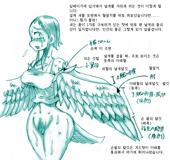 [Koganemushi] Tori TF ni Kansuru Kousatsu to Renshuu | Study and practice about bird TF [Korean] 12