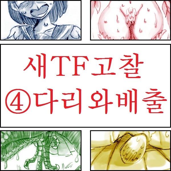 [Koganemushi] Tori TF ni Kansuru Kousatsu to Renshuu | Study and practice about bird TF [Korean] 16