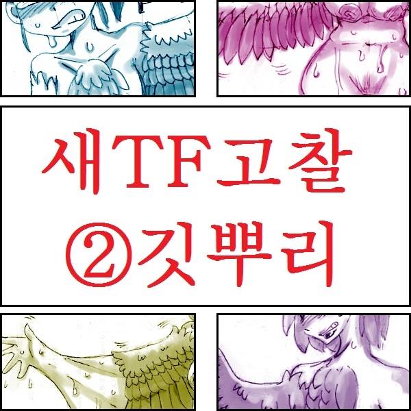 [Koganemushi] Tori TF ni Kansuru Kousatsu to Renshuu | Study and practice about bird TF [Korean] 5