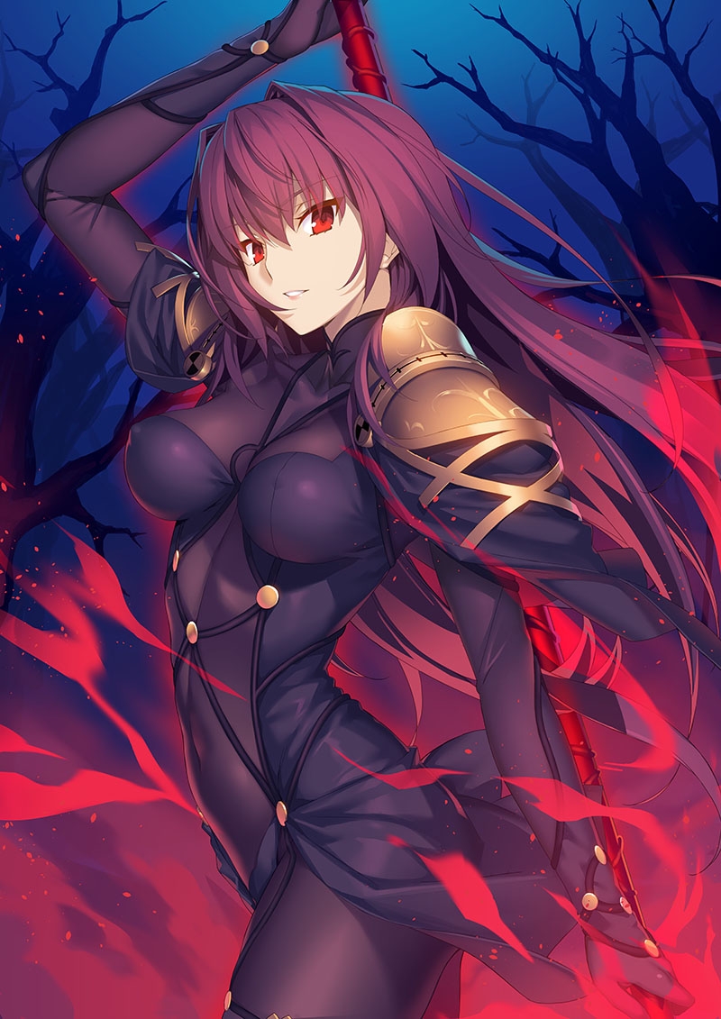 Scathach Fate/Grand Order 9