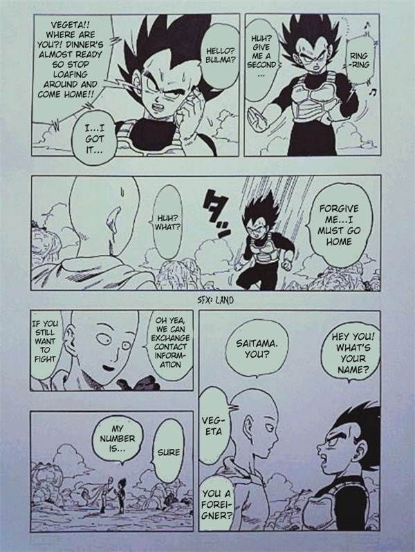 (Dragon Garou Lee) Dragon Ball × One Punch Man (Dragon Ball Z, One Punch Man) [English] [Ursan Translations] 15